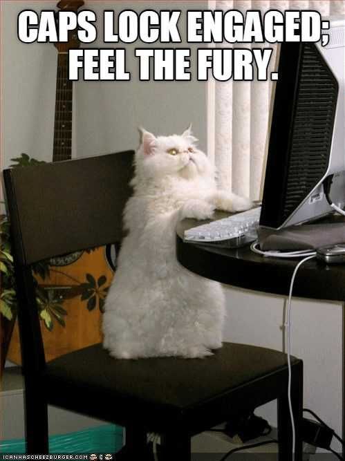 Funny-Feel-Fury Funny Cat Pictures Cat Ready To Do Damage On Internet Meme