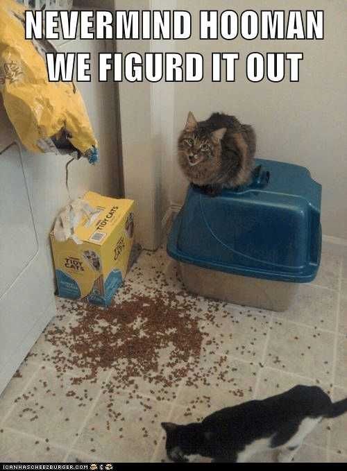 Funny-Figured-It-Out Funny Figured It Out