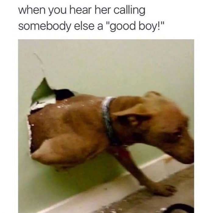 Funny-Good-Boy Funny Good Boy
