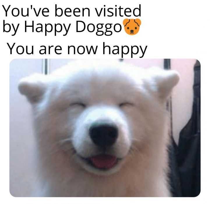 Funny-Happy-Doggo Funny Happy Doggo