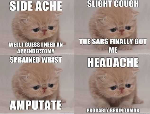 Funny-Headache-Cat Funny Cat Pictures Cat Emotion To Health Issues Meme