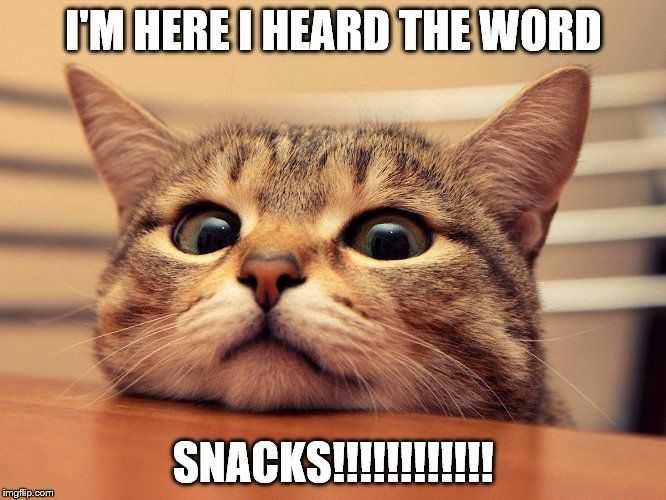 Funny-Heard-The-Word Funny Heard The Word