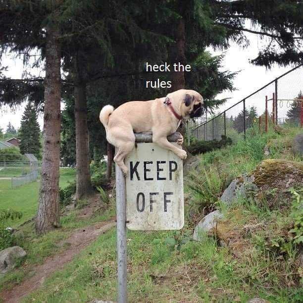 Funny-Heck-The-Rules Funny Heck The Rules