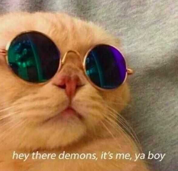 Funny-Hey-There-Demons Funny Cat Pictures John Elton Cat