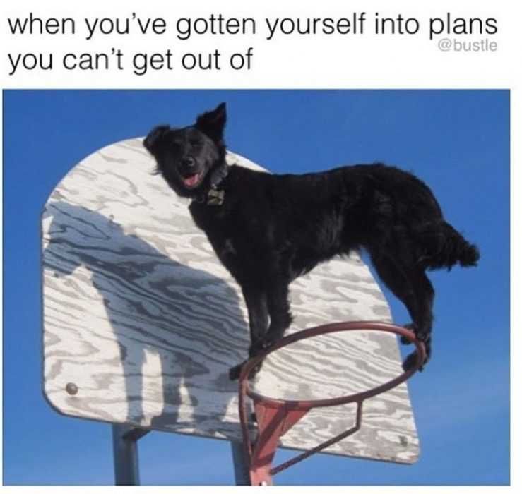 Funny-In-Plans Funny In Plans