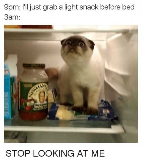 Funny-Light-Snack-Before-Bed Funny Light Snack Before Bed