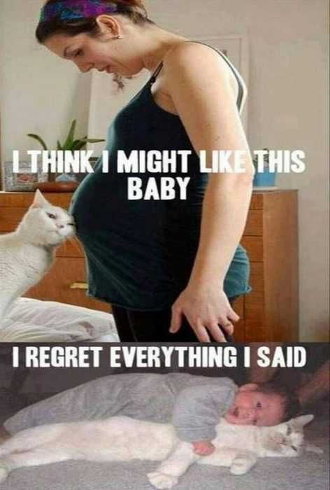 Funny-Like-The-Baby Funny Like The Baby