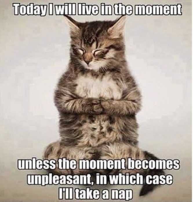 Funny-Live-In-Moment Funny Live In Moment