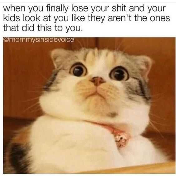 Funny-Look-At-You-Like Funny Look At You Like