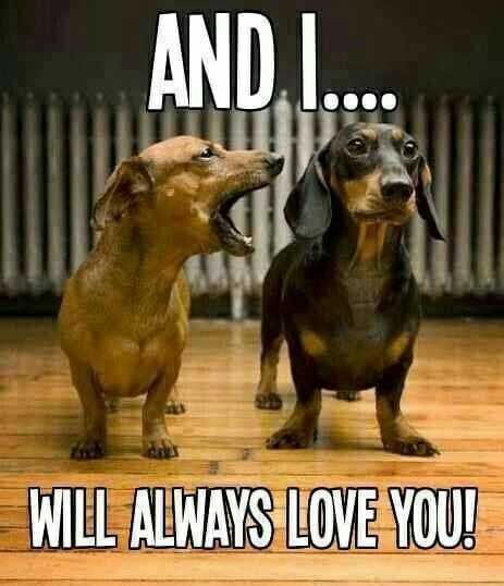 Funny-Love-You Funny Love You