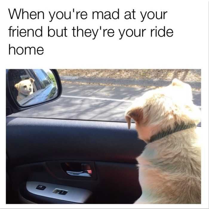Funny-Mad-At-Friend Funny Mad At Friend