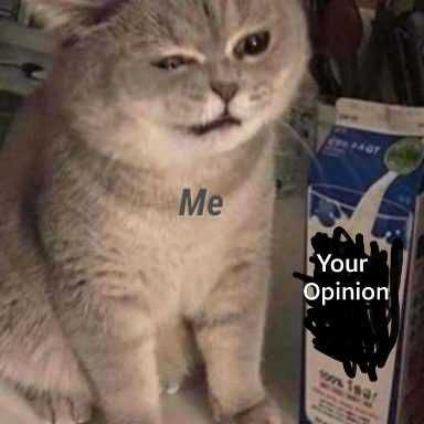 Funny-Me-Your-Opinion Funny Cat Pictures Cat Squirming