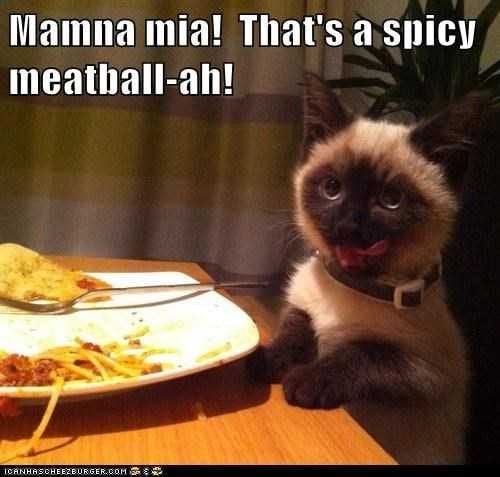 Funny-Meatball Funny Meatball