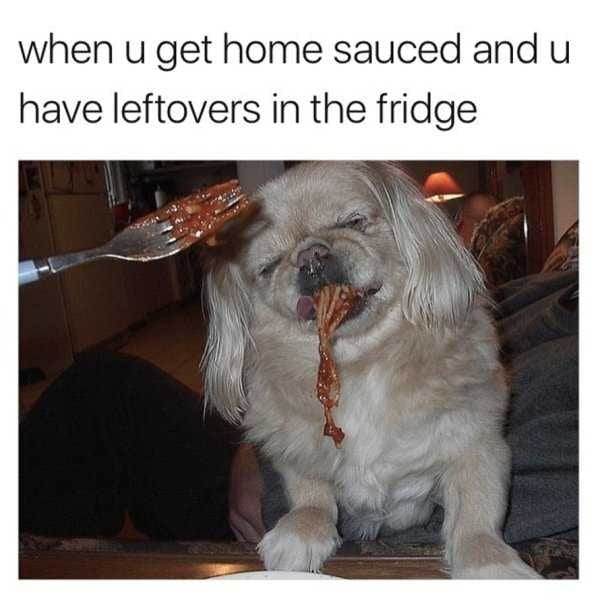 Funny-Meatballs-Fridge Funny Meatballs Fridge