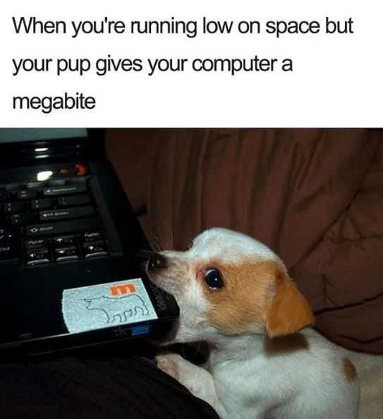 Funny-Mega-Bite Funny Mega Bite
