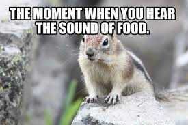Funny-Moment-Food Funny Moment Food