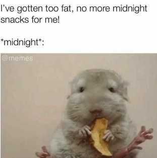 Funny-No-Snacks Funny No Snacks