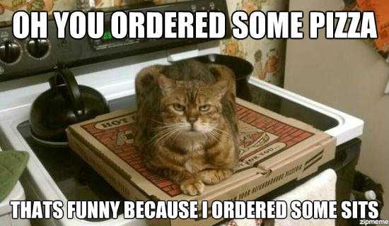 Funny-Ordered-Some-Sits Funny Ordered Some Sits