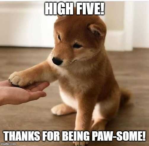 Funny-Pawsome Funny Pawsome