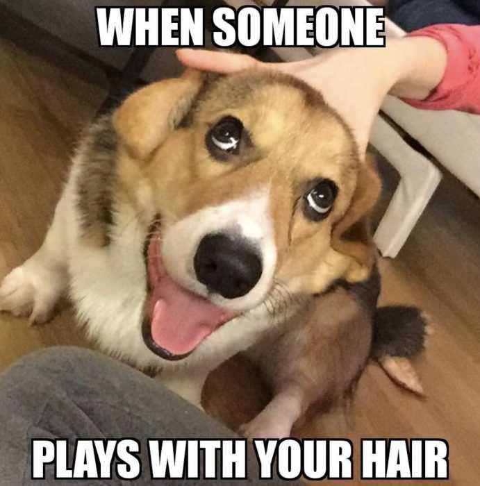 Funny-Plays-With-Your-Hair Funny Plays With Your Hair