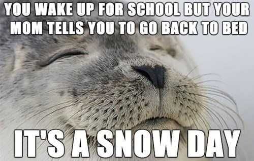 Funny-School-E Funny School E