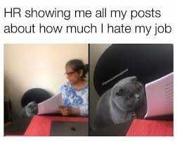 Funny-Showing-All-Posts Funny Cat Pictures Cat Hates Job Meme
