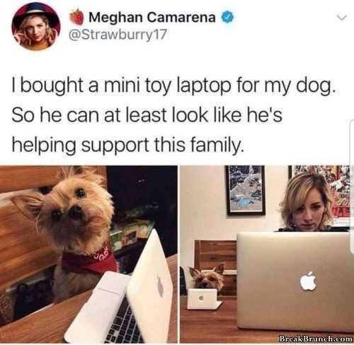 Funny-Support-This-Family Funny Support This Family