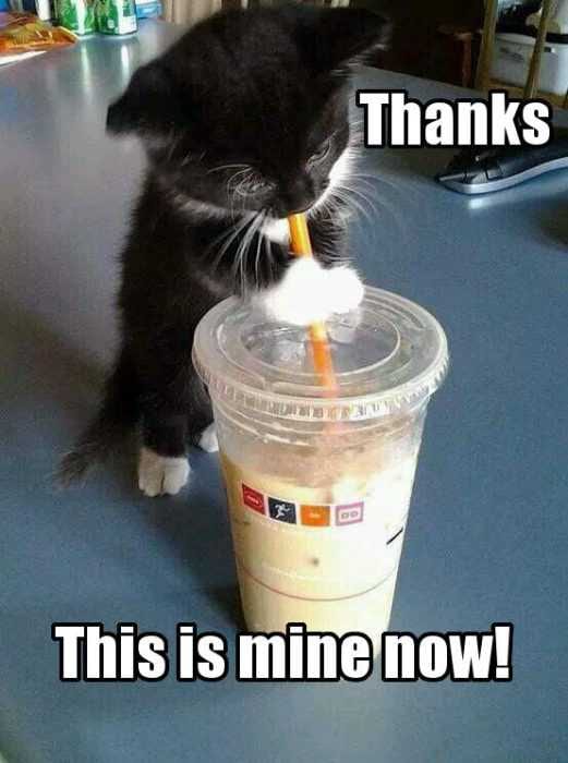 Funny-This-Is-Mine Funny This Is Mine