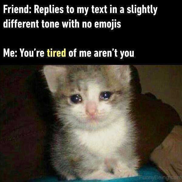 Funny-Tired-Of-Me Funny Cat Pictures Cat Tearing Up Meme
