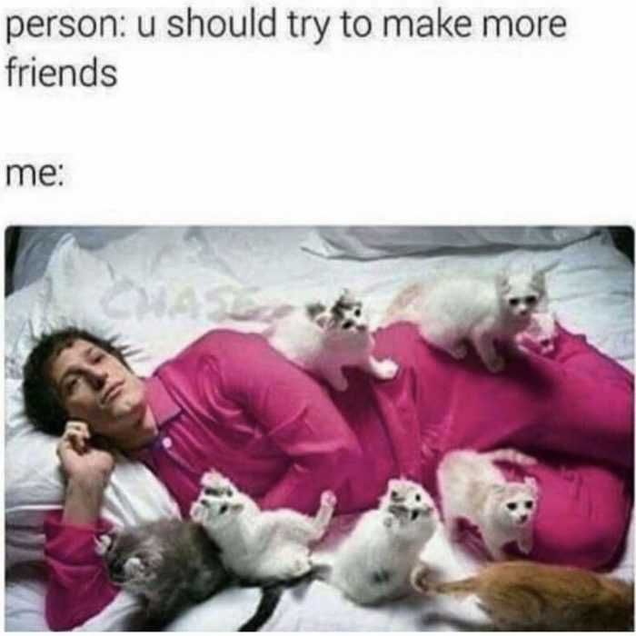 Funny-Try-To-Make-More-Friends Funny Cat Pictures Crazy Cat Person Meme