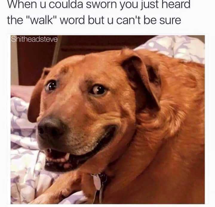 Funny-Walk-Cant Funny Walk Cant