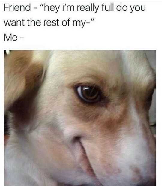 Funny-Want-Rest Funny Want Rest