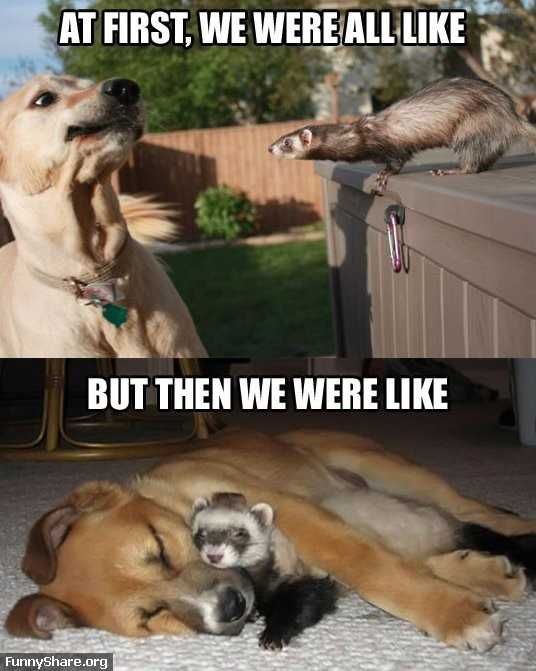 Funny-We-Were-Like Funny We Were Like