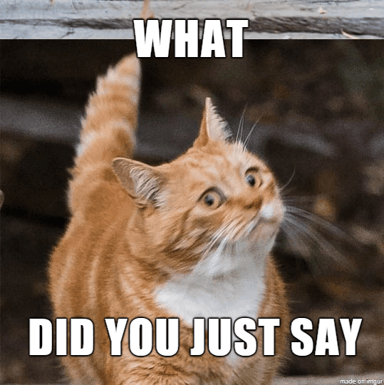 Funny-What-You-Say Funny What You Say