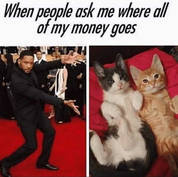 Funny-Where-My-Money-Goes Funny Cat Pictures Will Smith Spending Money On Cats Meme