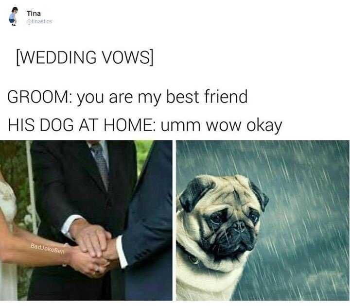 Funny-Wow-Okay Funny Wow Okay