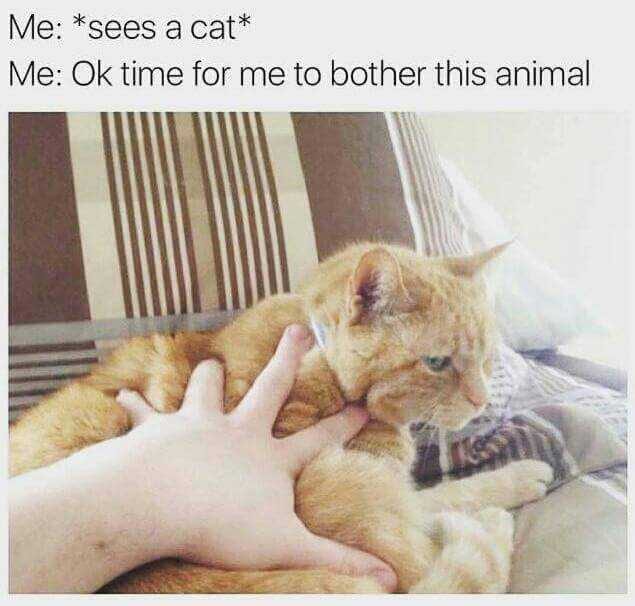 Funy-Bother-Me Funy Bother Me