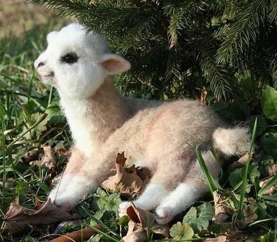 Llama-Baby-Leaves Llama Baby Leaves