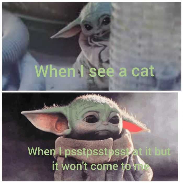 Yoda-Pss-Cat Yoda Pss Cat