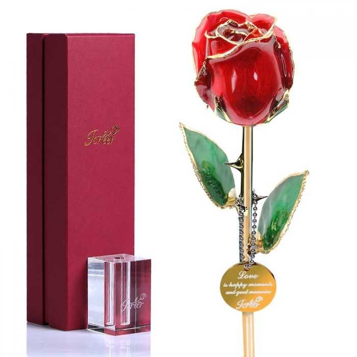 24K Gold Rose