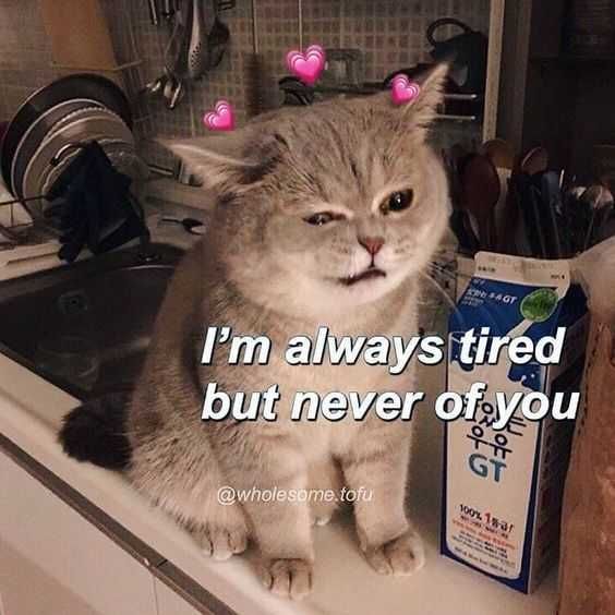Funny-Always-Tired Funny Always Tired