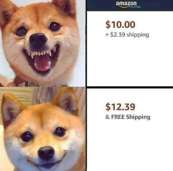 Funny-Amazon-Free-Shipping Funny Amazon Memes Free Shipping Sells.