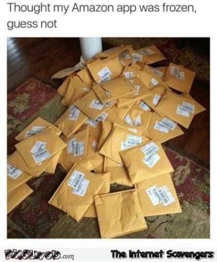 Funny-Amazon-Frozen Funny Amazon Memes Amazon App Refresh