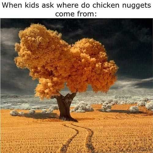 Funny-Ask-Where Funny Ask Where