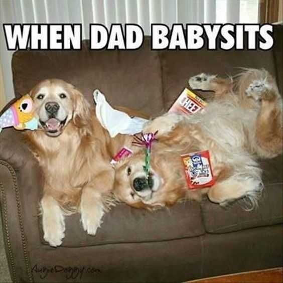 Funny-Babysits Funny Babysits
