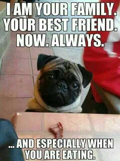 Funny-Best-Friend-Always Funny Best Friend Always