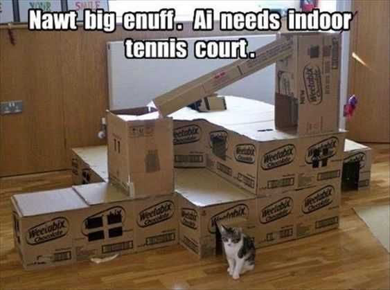 Funny-Big-Enough 27 Hilarious Cute Animal Pictures Cat Palace