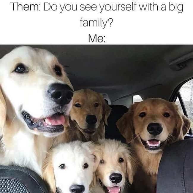 Funny Big Family