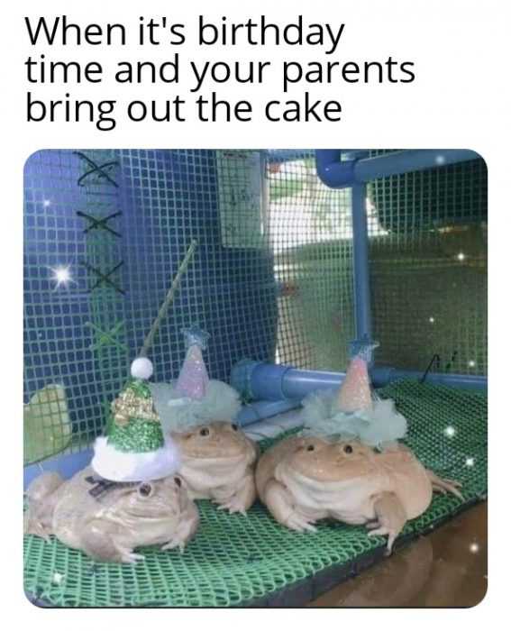 Funny Birthday Cake