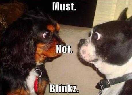 Funny-Blink-Not Funny Blink Not